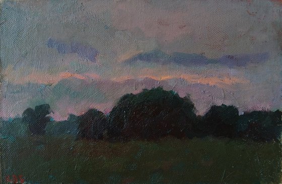 Evening