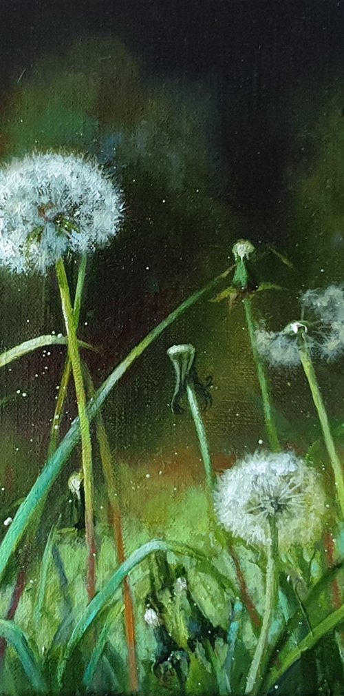 They are ready to fly. by Anna Bessonova (Kotelnik)