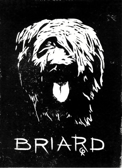 Dogs - Briard by Reimaennchen - Christian Reimann