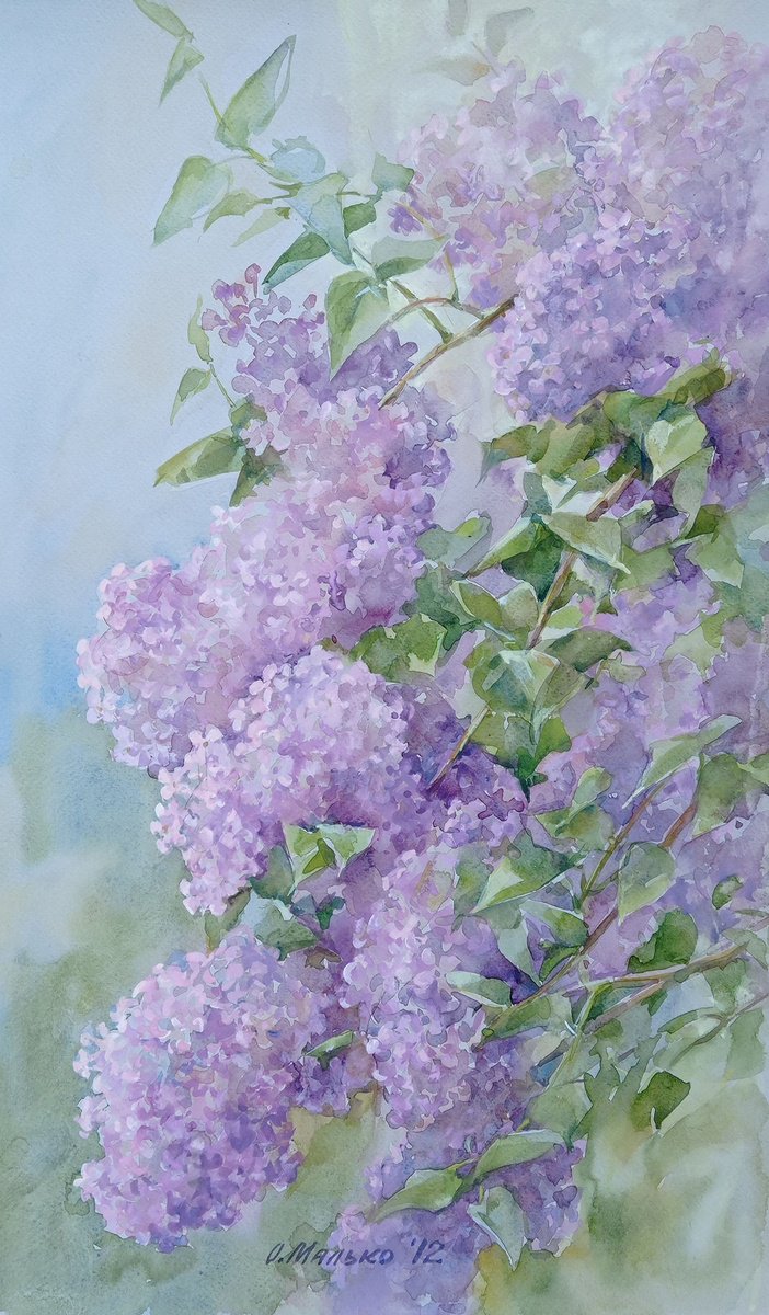 Branches of a lilac / ORIGINAL watercolor 12x20in (30x50cm) by Olha Malko