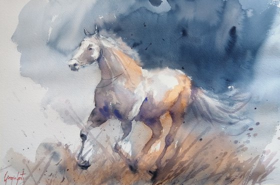 horses 23