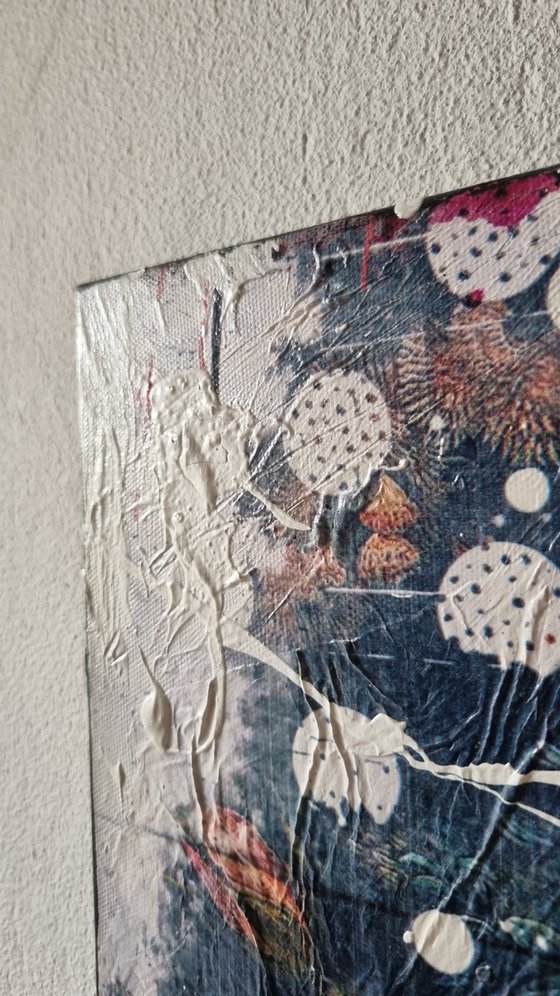 Polka polka [Studio Clearance]