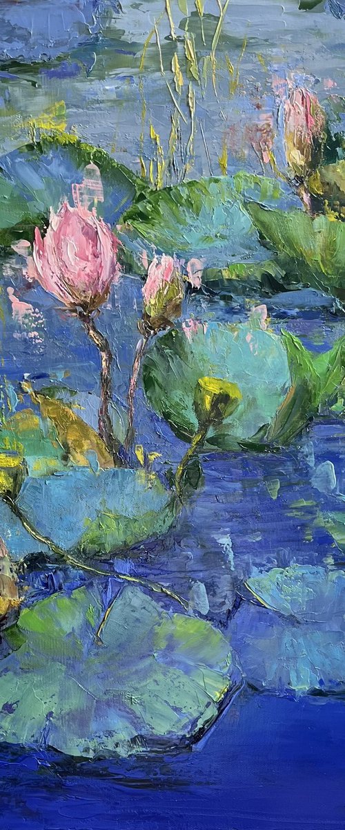 Water lilies 2 by Elena Mashajeva-Agraphiotis
