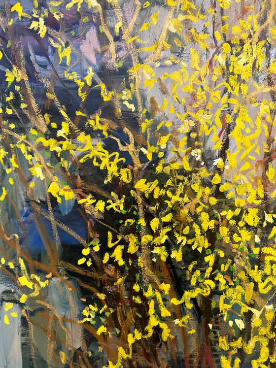 Forsythia Golden Bell