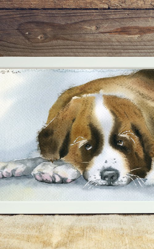 St. Bernard dog. Original watercolor artwork. by Evgeniya Mokeeva