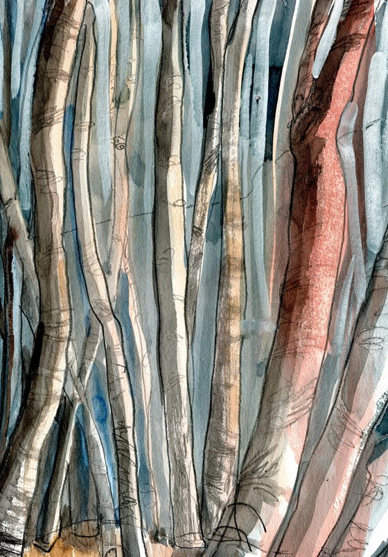WINTER BIRCHES