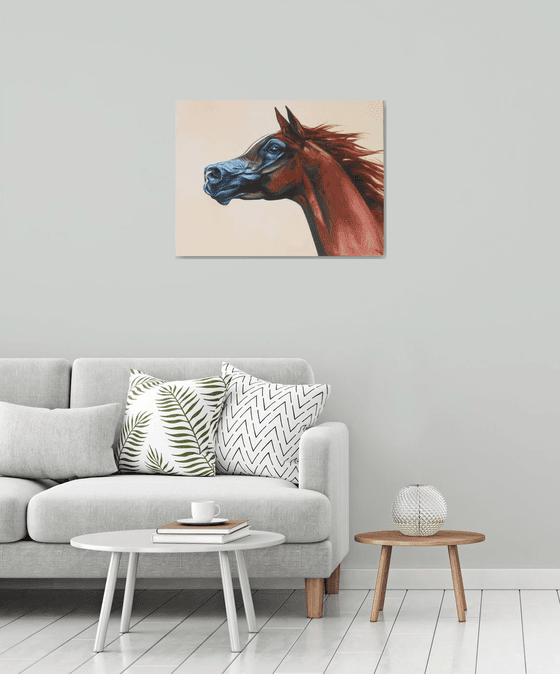 Arabian horse