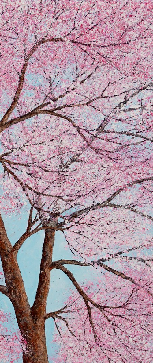 FALLING SOFTLY by Chris Bourne