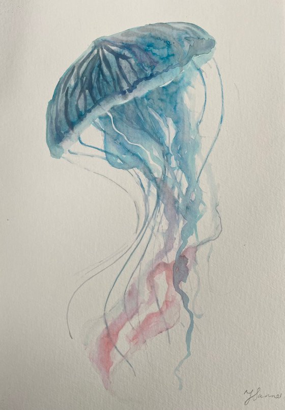 Jellyfish 1