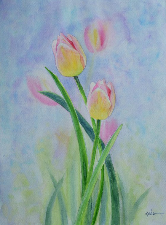 Yellow-Pink Tulip
