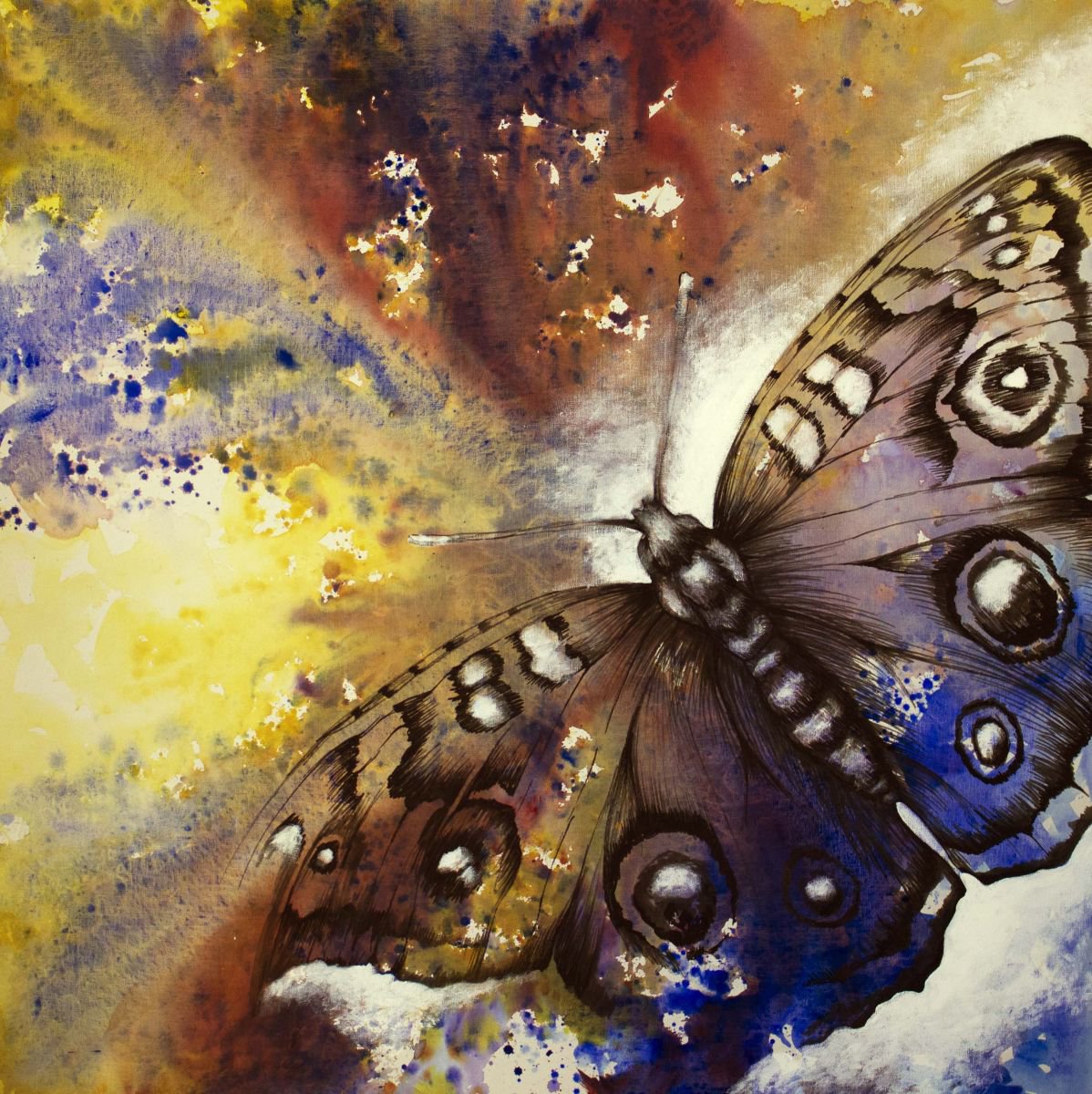 Bullseye Butterfly by Victoria Stothard
