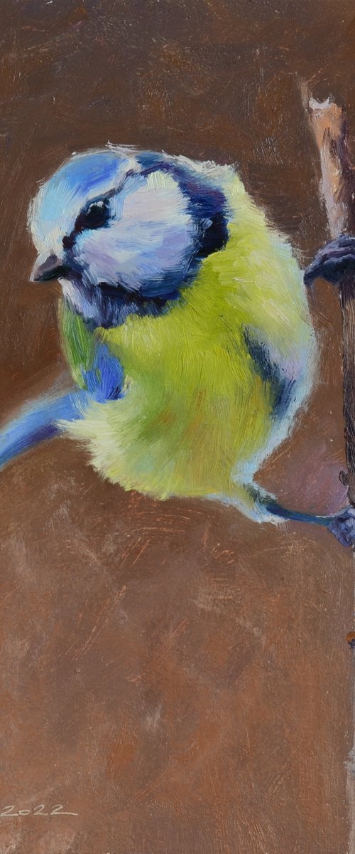 Frisky titmouse by Ruslan Kiprych