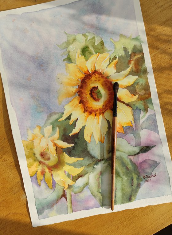 Ukrainian hope. Sunflower