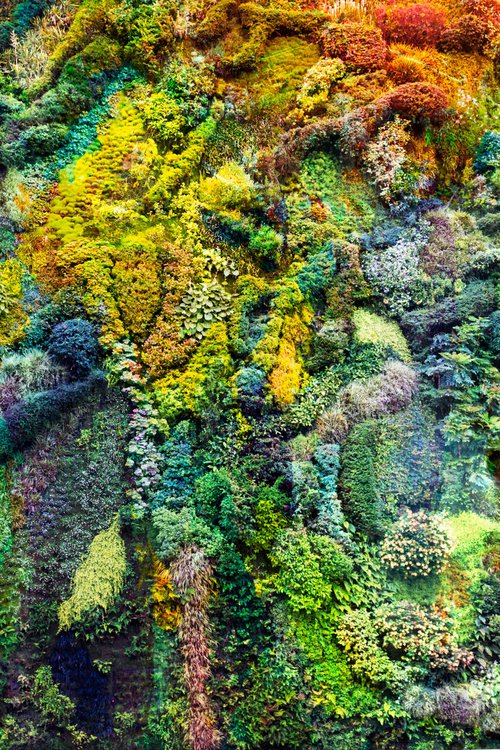 Wall of Nature XXIV by Viet Ha Tran