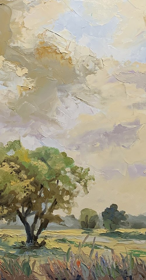 Beneath the Golden Sky. by Vita Schagen