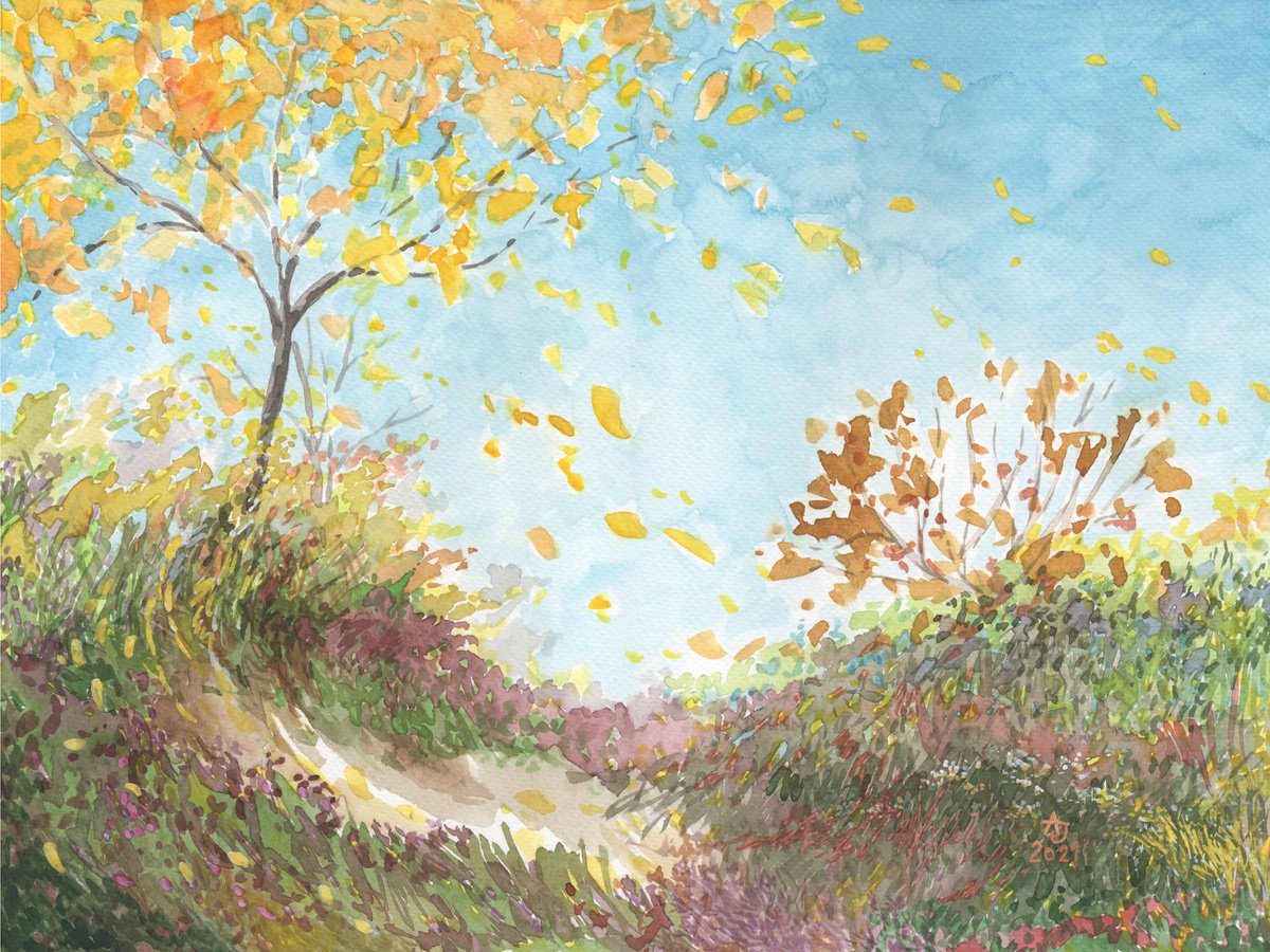 Autumn colors - Sunny meadow by Jolanta Czarnecka