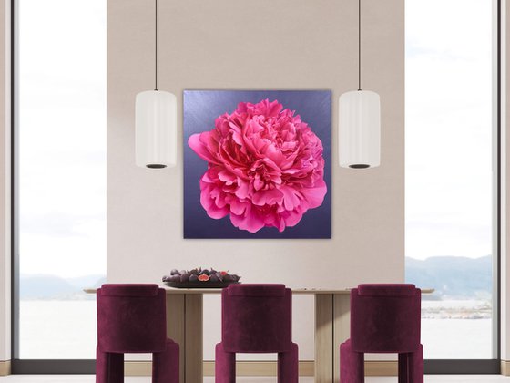 Magenta Delight
