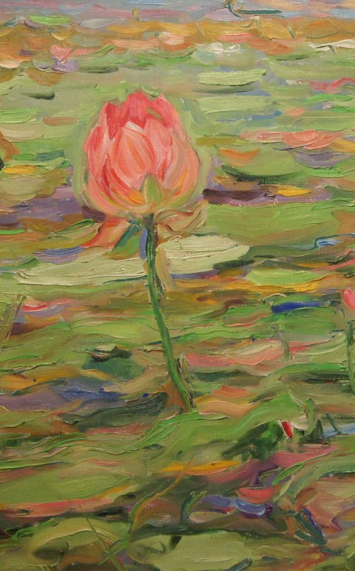 ROSE LOTUS - Landscape water lily pond, lilies, original painting, oil on canvas, interior home decor, 73x105 by Karakhan