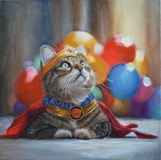 Wonder Cat
