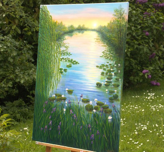 Water lily pond