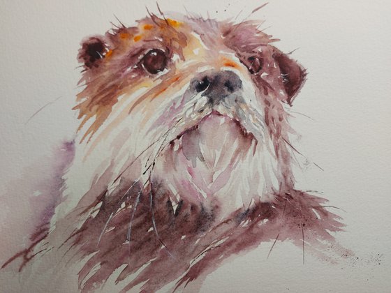 Otter in watercolour