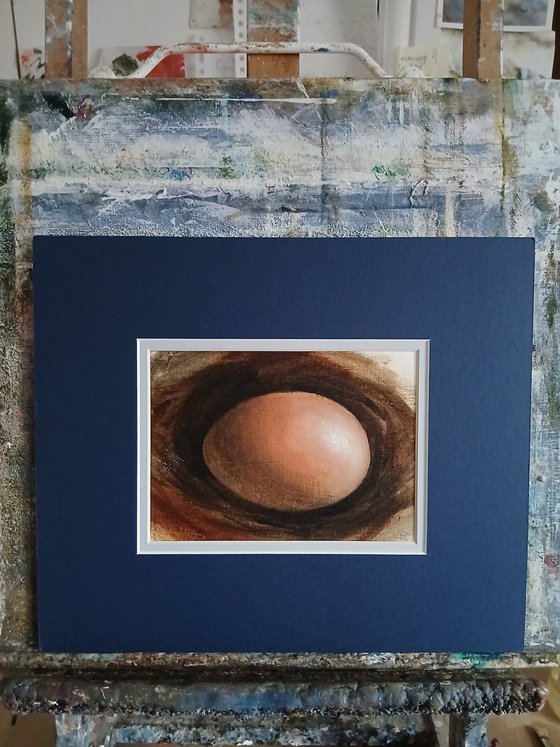 Egg Study