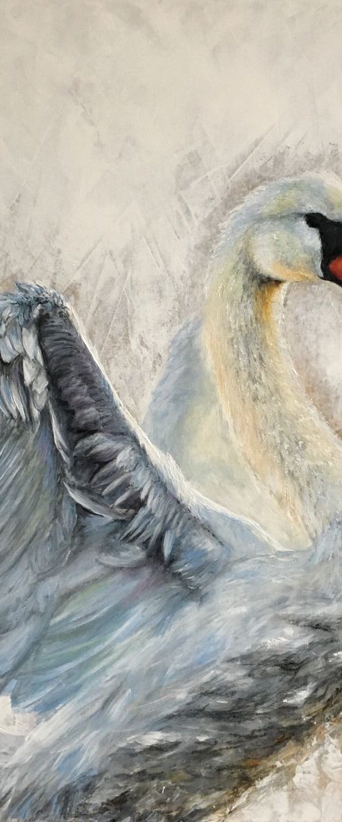 Swan, Blue Swan, original painting by Paul Hardern