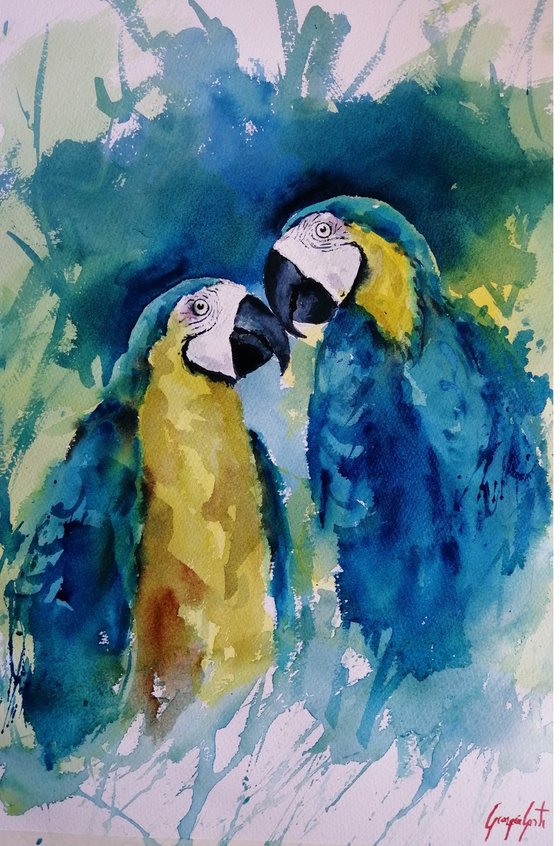 parrot 12