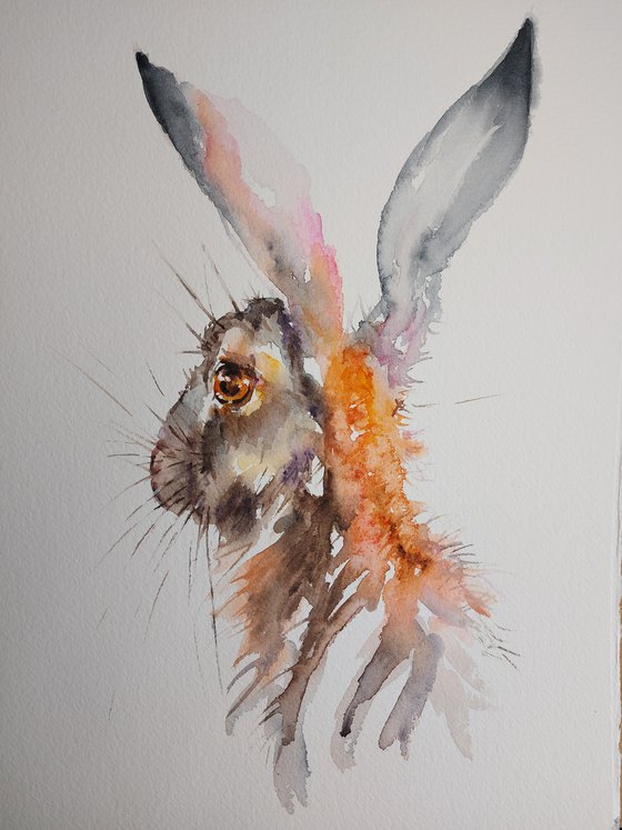 Watercolour Hare portrait
