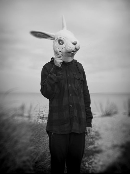 The Rabbit by Carmelita Iezzi