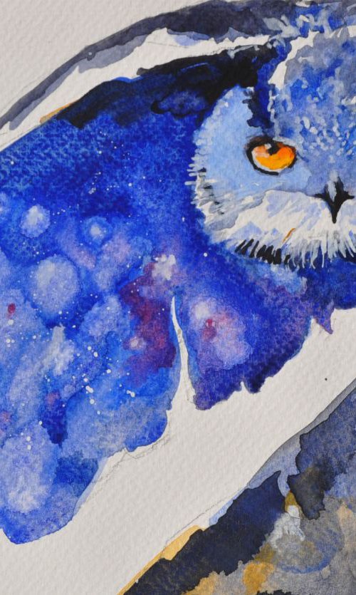 The flying eagle owl by Flavio Furlan