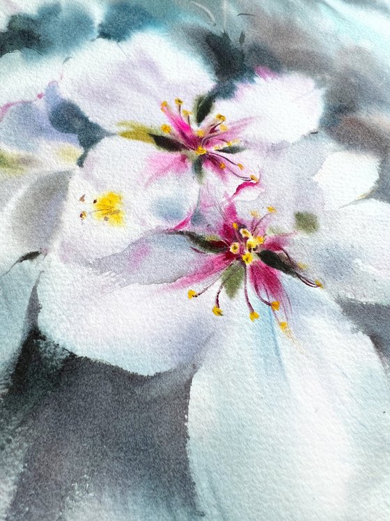 Almond flowers #7