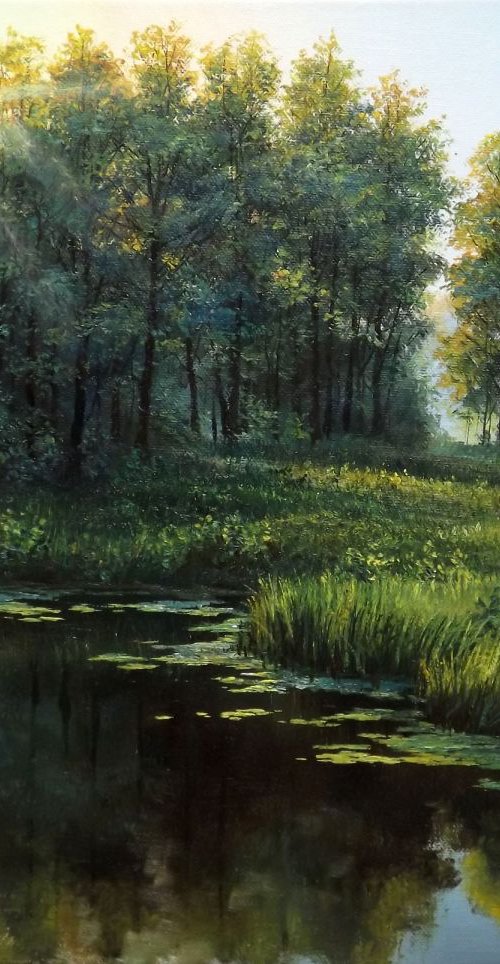 Sunny Landscape by Oleg Riabchuk
