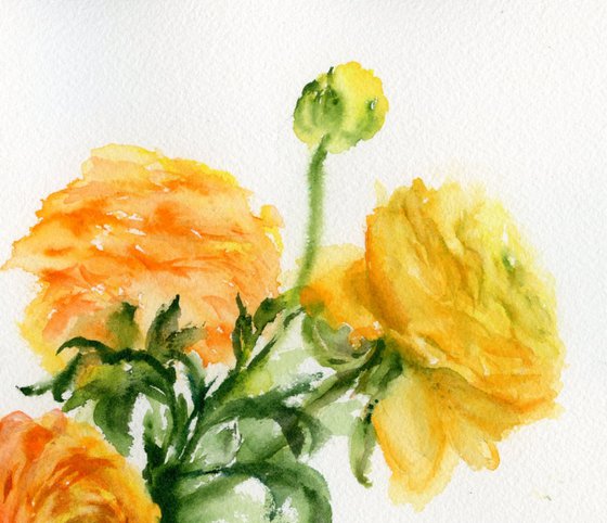 Ranunculus