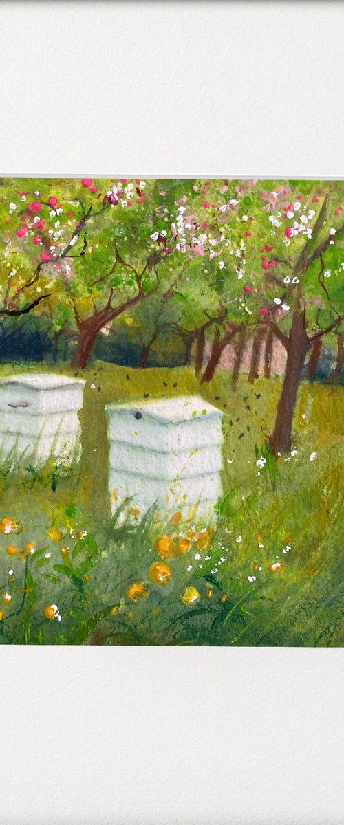 Beehives bees & blossom by Teresa Tanner