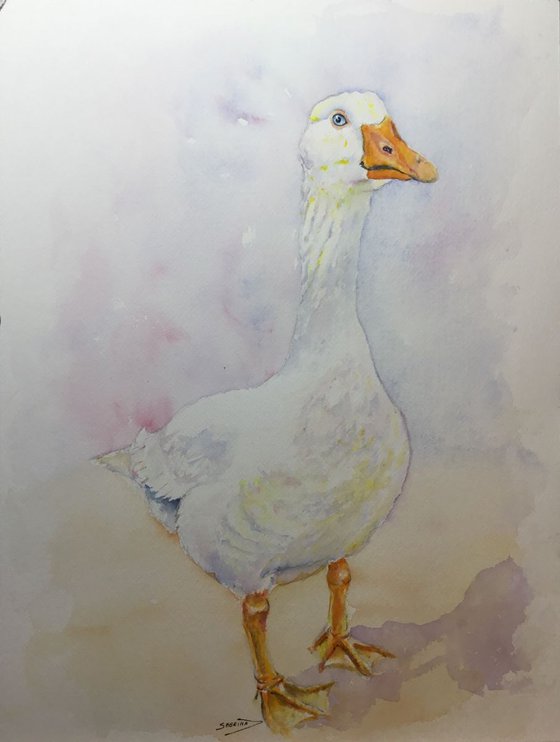 White goose