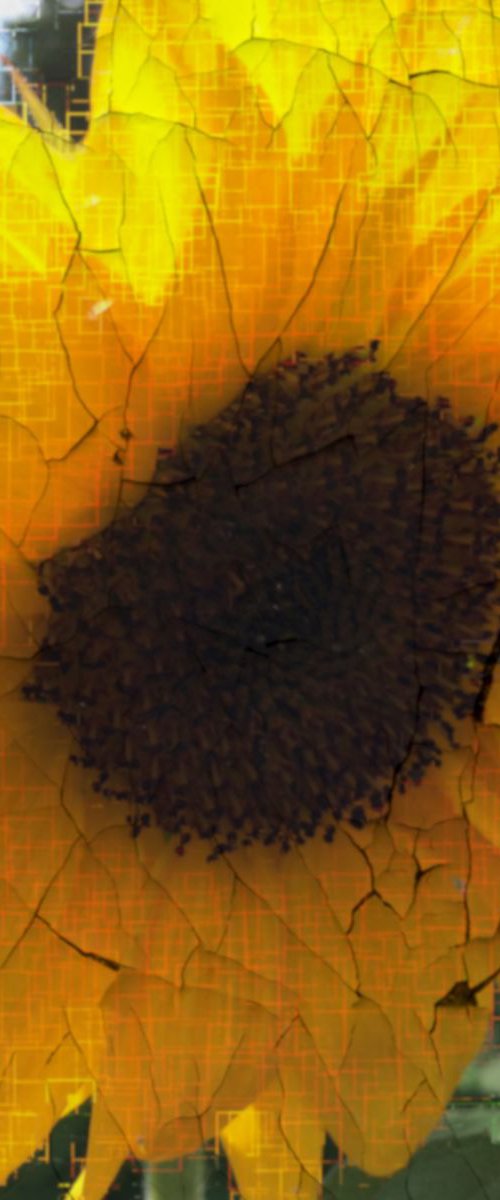 Antique Sunflower by Barbara Storey