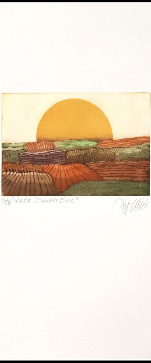 Late Summer Sun by Mariann Johansen-Ellis