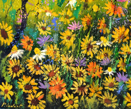 Daisies in summer