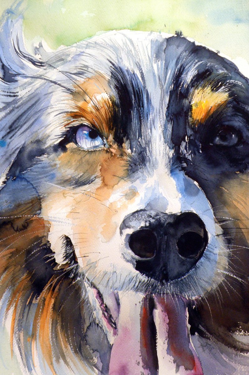 Impressionistic Animal Watercolour By Kovacs Anna Brigitta, 15 X 22", Dog Portrait, Original Artwork