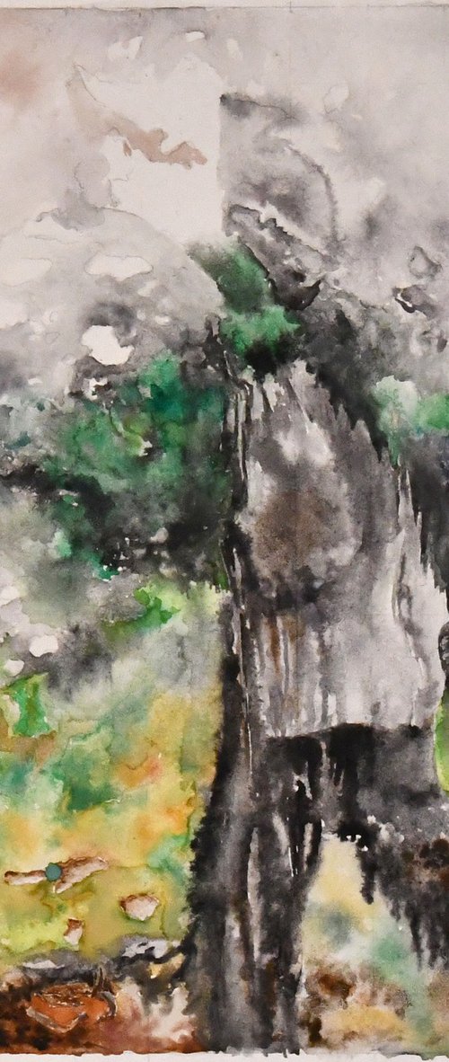 It's raining again. by Zoltán Csomós