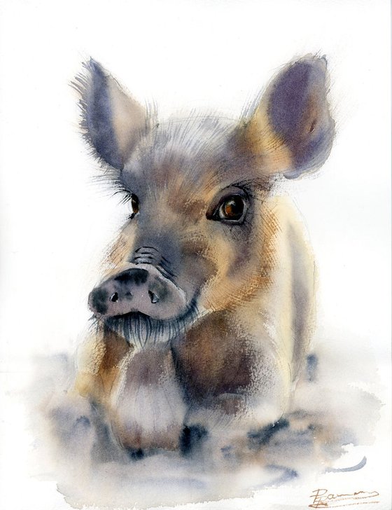 Little Boar