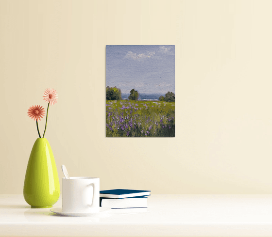 Impression. Flowering meadow