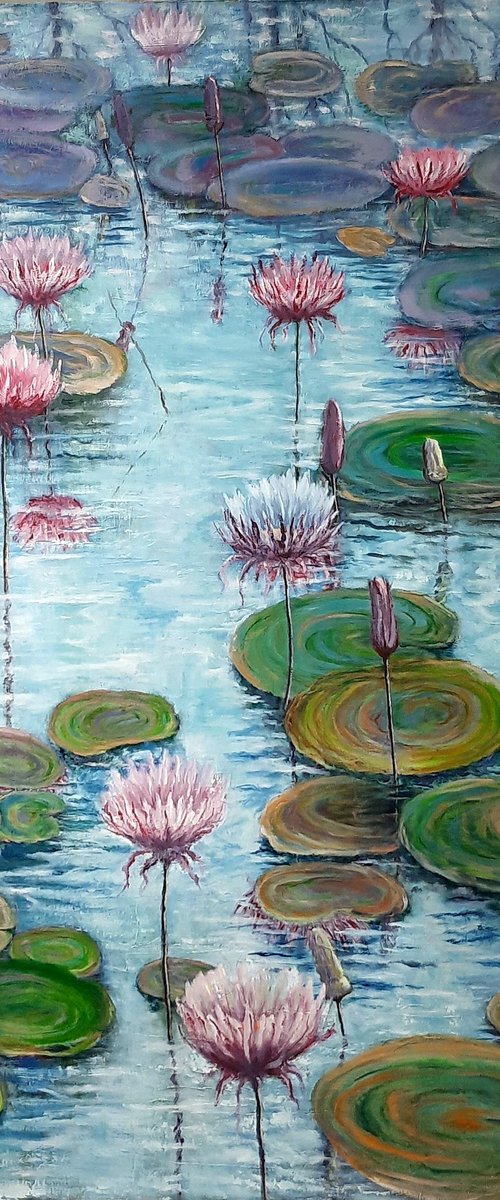 Water lilies by John Howes