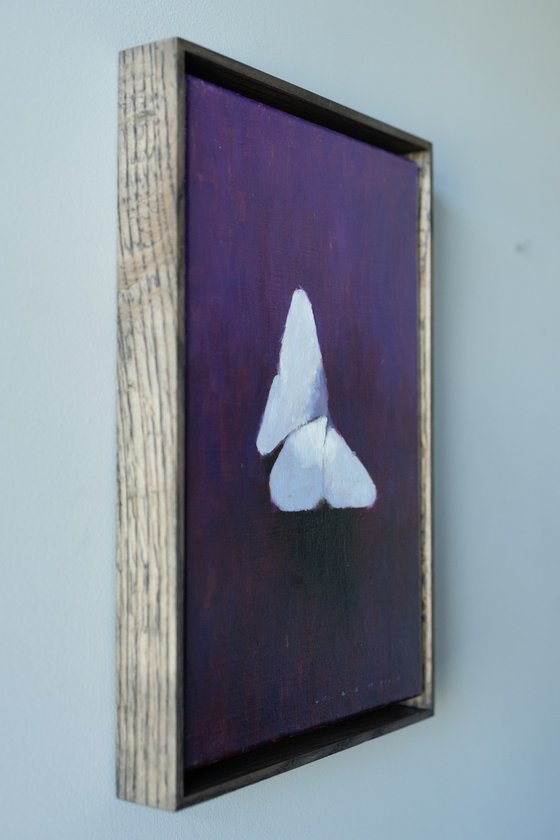 “Folded Wings”