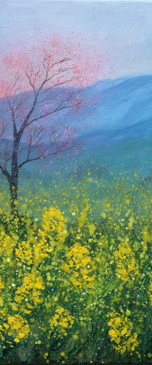 Rape field In mist by Jing Tian