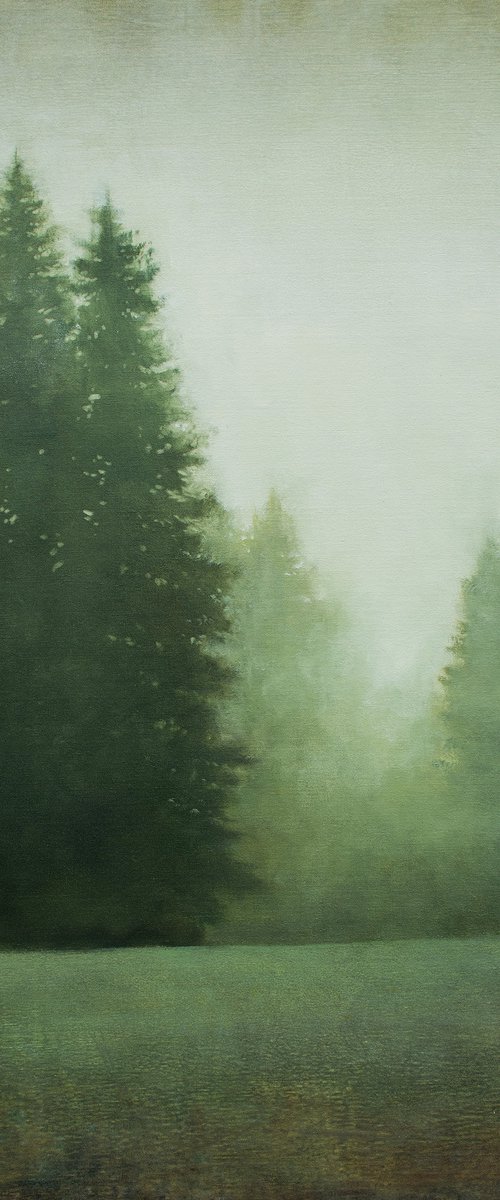 Evergreens And Field 210910, evergreen trees tonal landscape by Don Bishop
