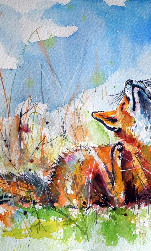 Red fox resting II by Kovács Anna Brigitta