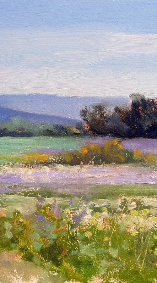 Field of Lavender near Grignan by Pascal Giroud