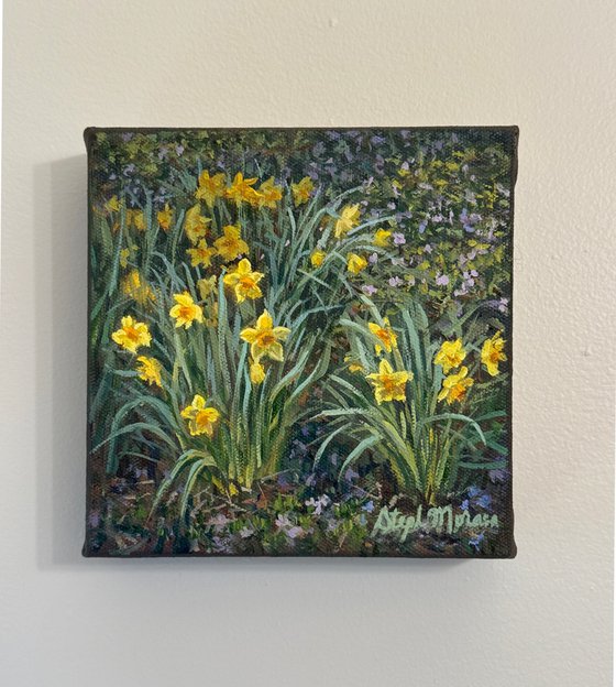 Daffodil Bunches